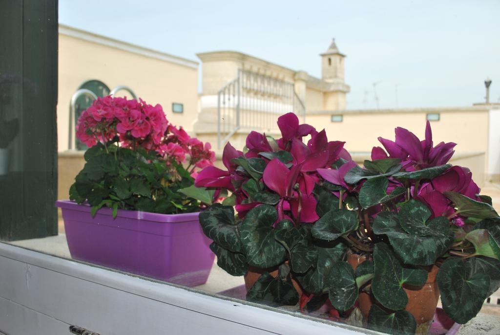 Palazzo Sottile Meninni - Classic Rooms Experience Gravina in Puglia Exterior photo